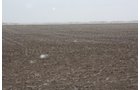 Property photo 28 - Kansas Land Auction - 960 Acres - 7 Farms in 3 Counties